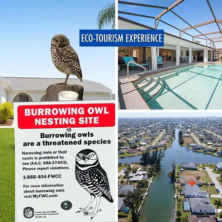 Luxury Waterfront Haven In Cape Coral - Dog-Friendly Escape With Private Pool别墅 外观 照片